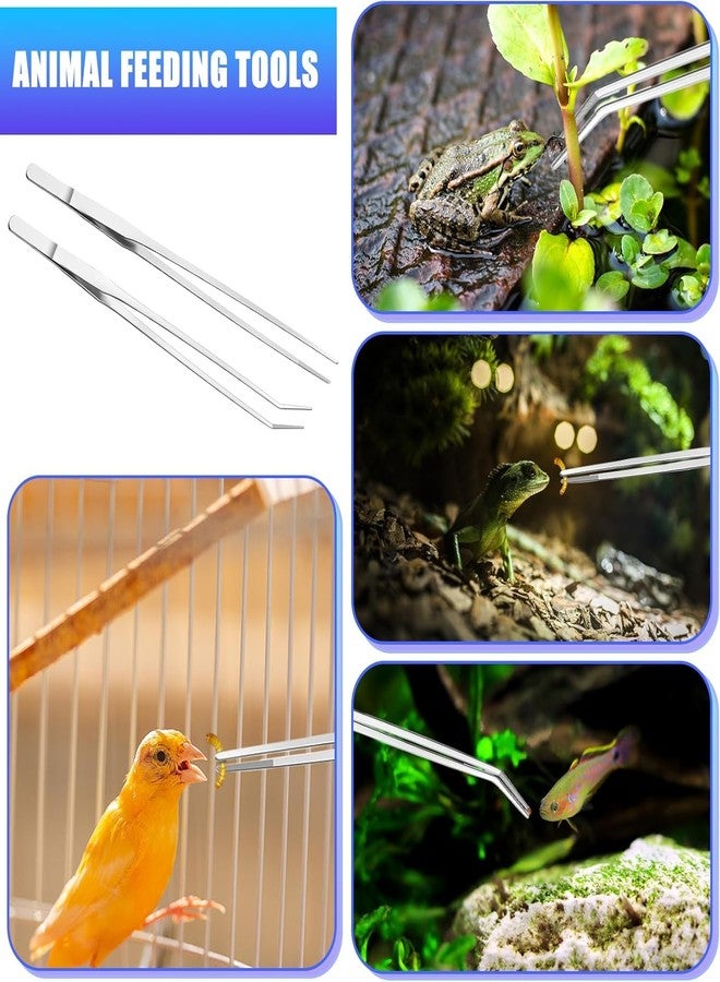 VAYINATO® Aquarium Tank Aquascaping Tools Aquarium Tweezers Tool Stainless Steel Aquatic Plants Tweezers Tool for Aquarium Maintenance by Petzlifeworld - Image 4